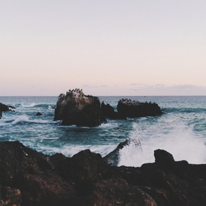 抖阴app入口免费
