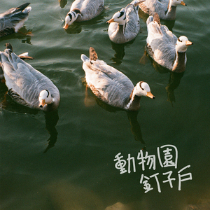 抖阴app入口免费
