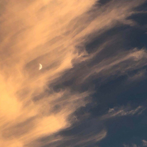 抖阴app入口免费
