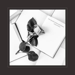 抖阴app入口免费
